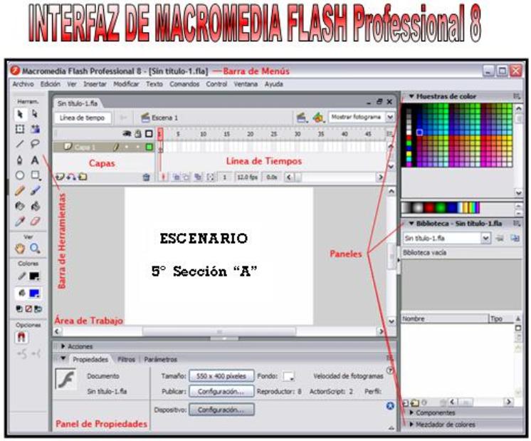 multimedia flash 8 download